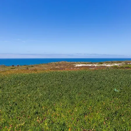Βίλα Ocean View Beach House In Santa Cruz Santa Cruz (Oeste)